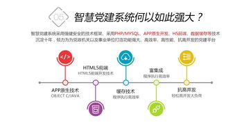 鼎維 以定制化與系統化方案，引領教育軟件創新開發